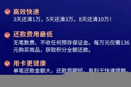 孟村为什么选择专业追讨公司来处理您的债务纠纷？